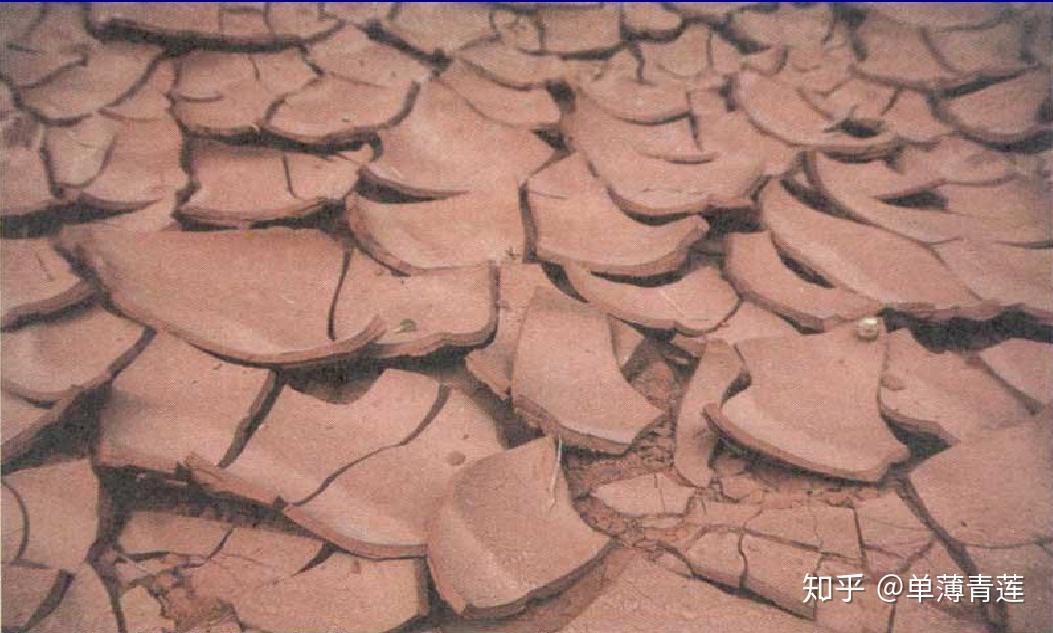 在地质学中，泥裂和龟裂有何区别？ - 知乎