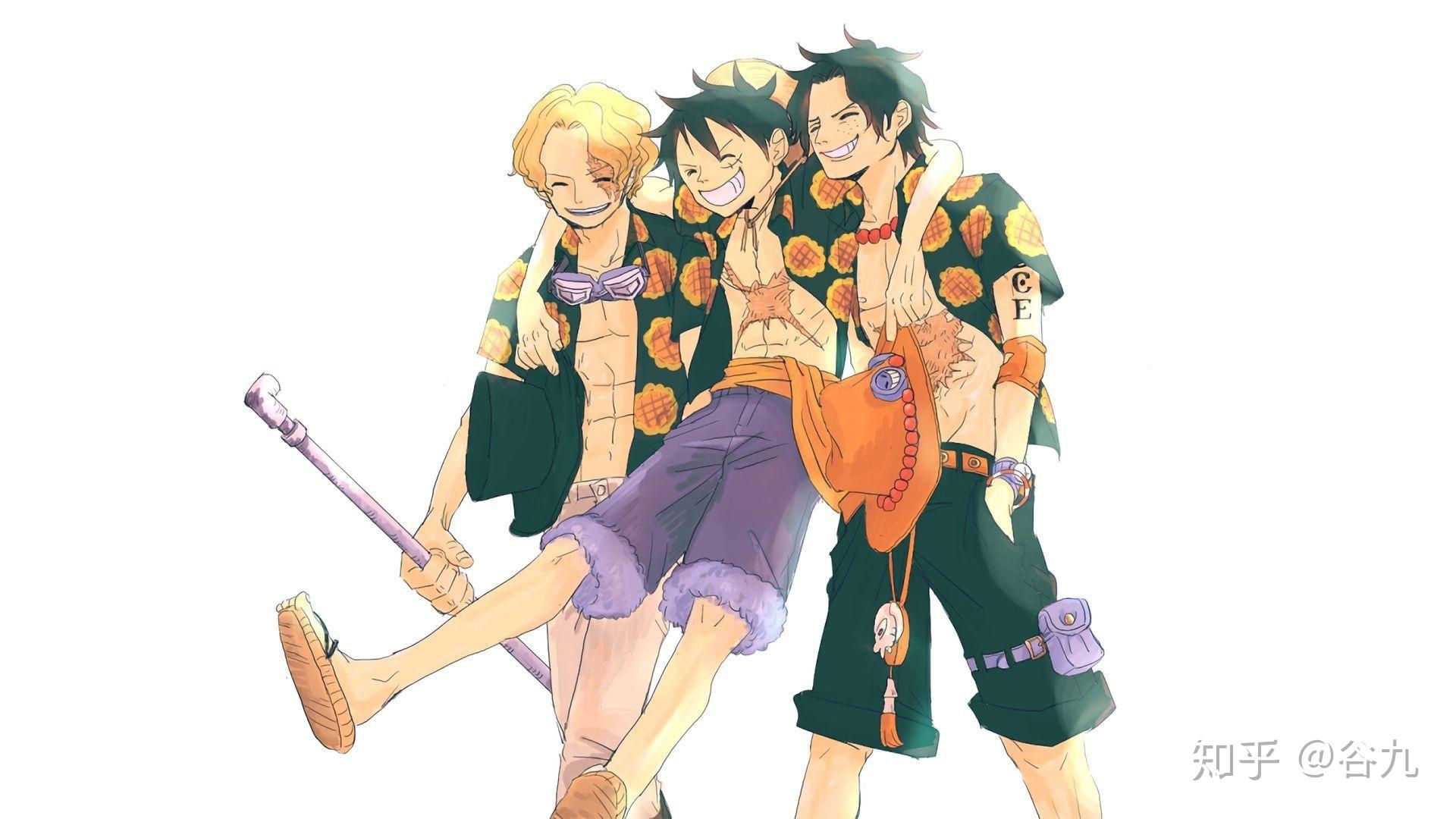 如何看待和之国路飞平静地告诉小玉艾斯已经死了? - 知乎