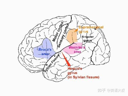 英语hole和pit作为洞的区别是什么? - 知乎