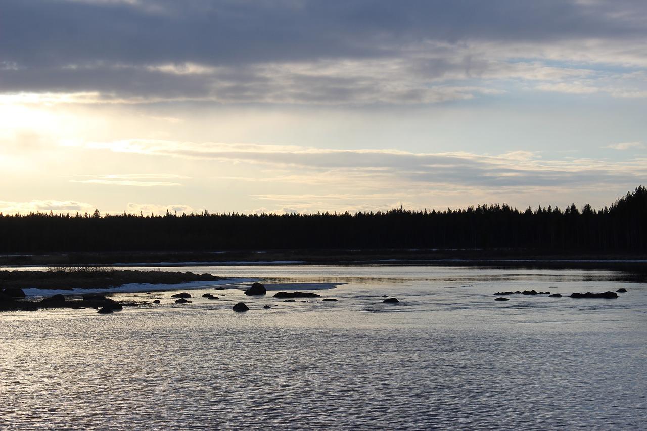 3. 顾客好评如潮