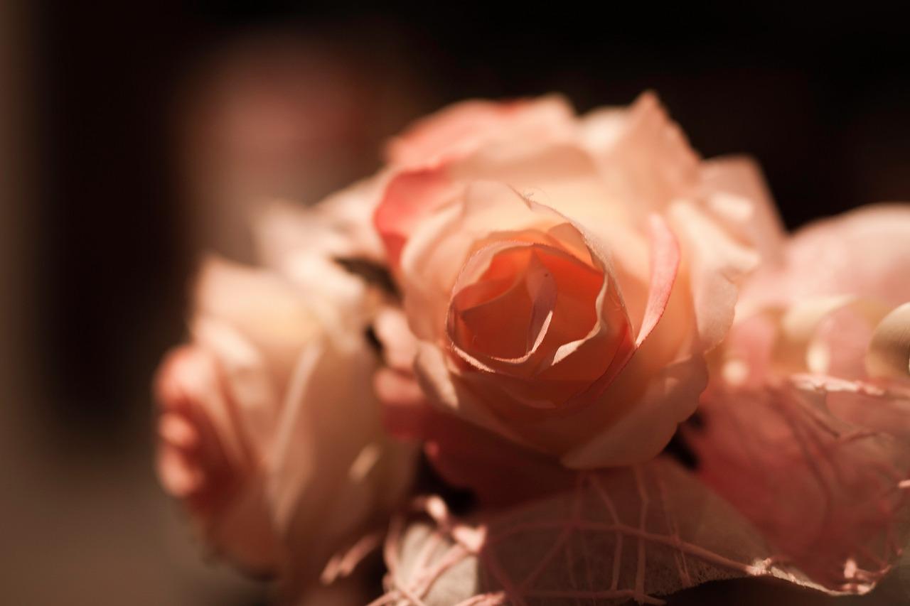 3. 花语爱情象征