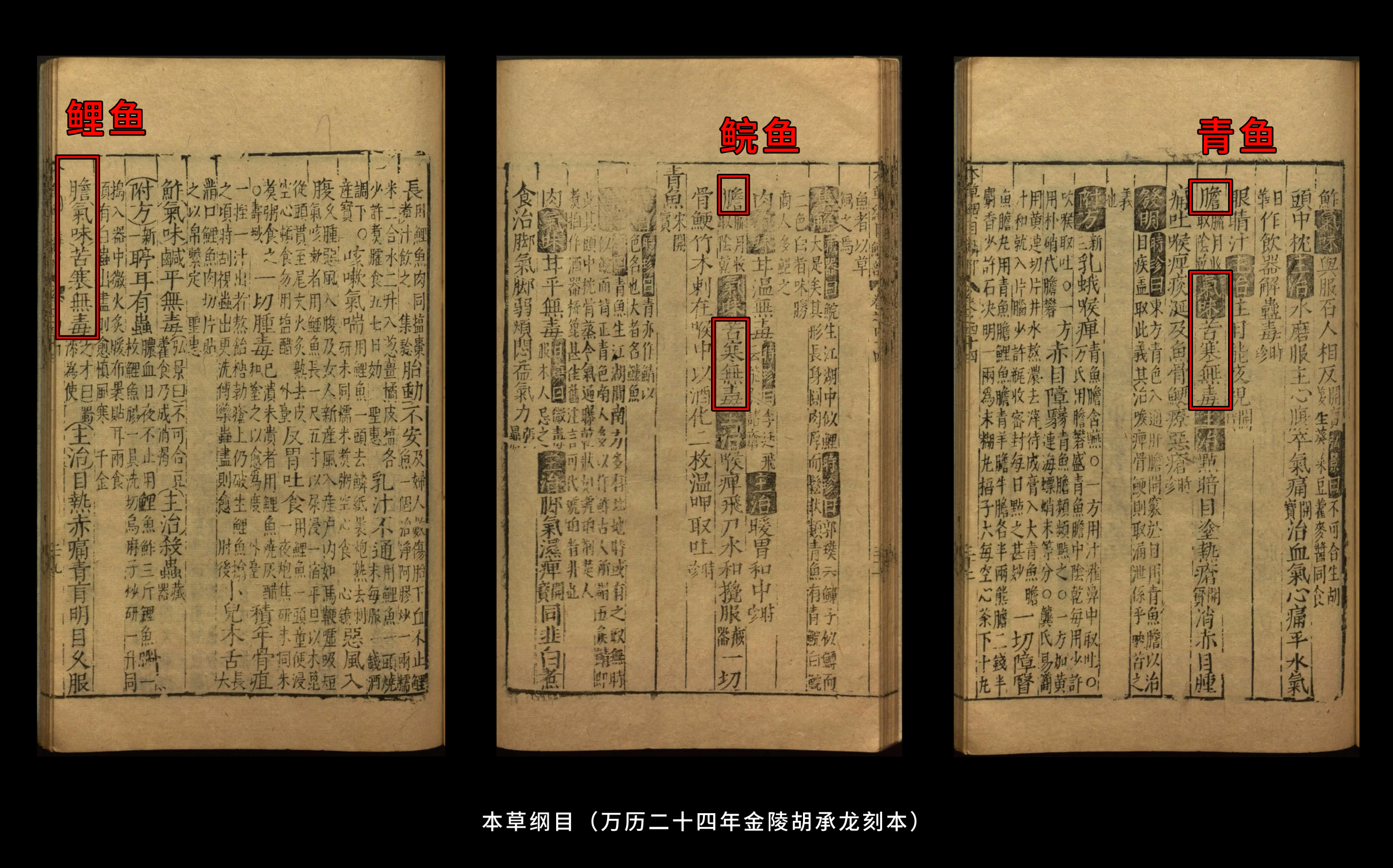 民间流传「鱼胆能清火、解毒」,女子生吞鱼胆导致肝衰竭,为什么会这样?鱼胆为何毒性如此强烈? - 知乎