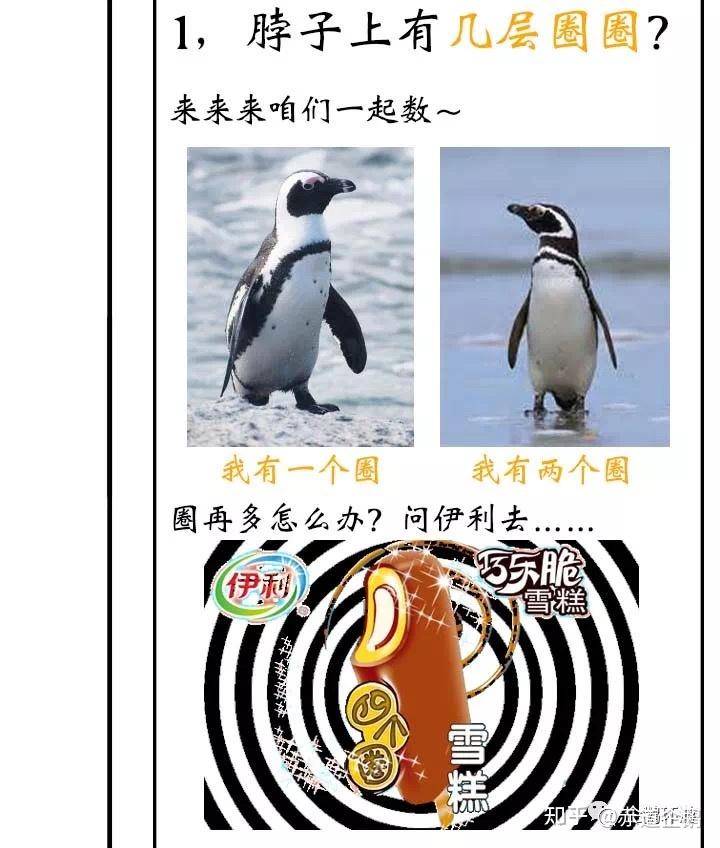 黑脚企鹅,麦哲伦企鹅,洪堡企鹅从外观上应该如何区分?