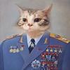 user-profile-image