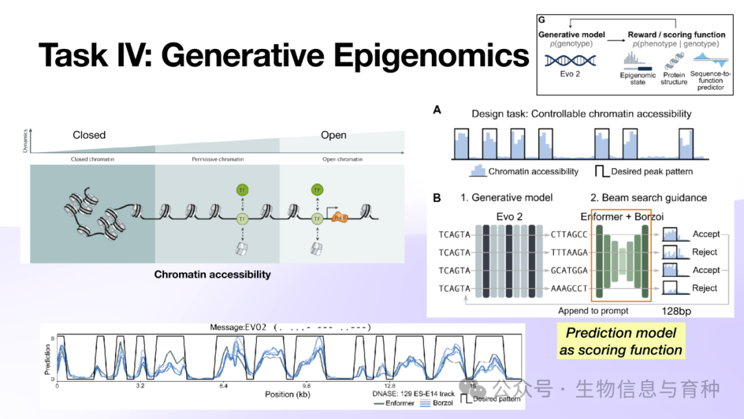 《Evo2: 生命科学基础大模型》报告PPT - 知乎