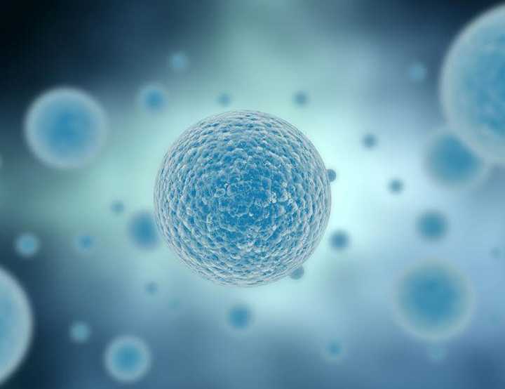 中量质粒的提取步骤