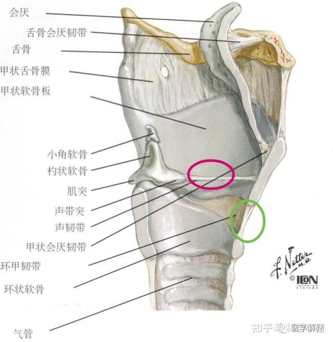 有哪些事情听起来危险但实际上很安全? - 知乎