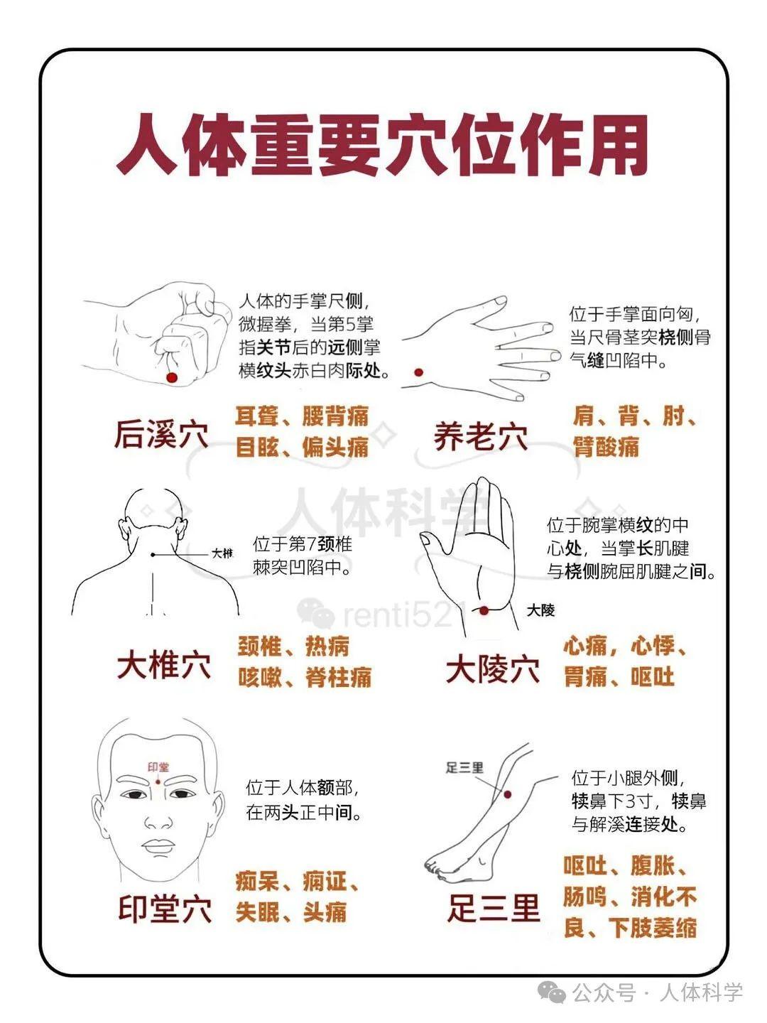 中医鍼灸臨床穴位学 中医鍼灸 臨床経穴学 | 単行本,鍼灸 | 東洋学術出版社 WEB STORE