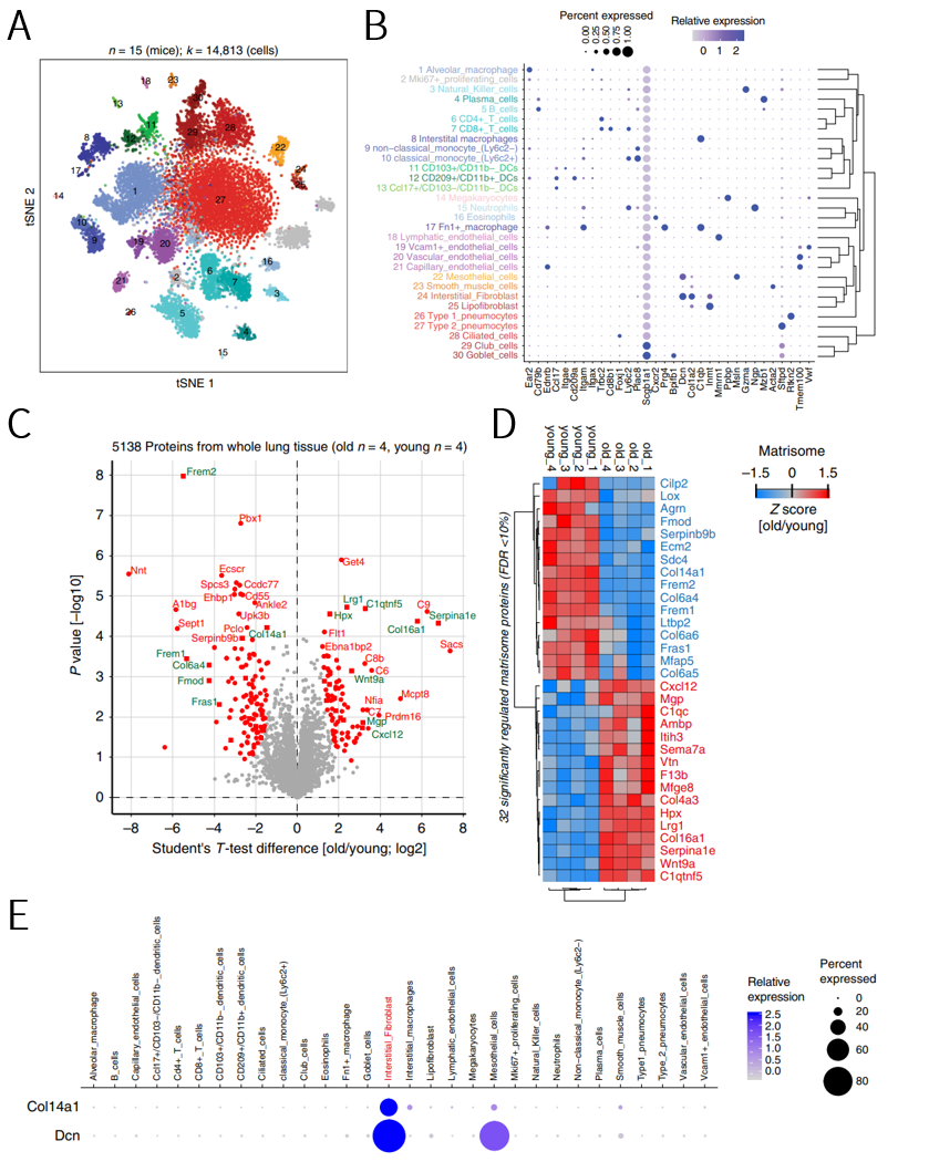 单细胞转录组和常规组学联合应用思路大全 - 知乎