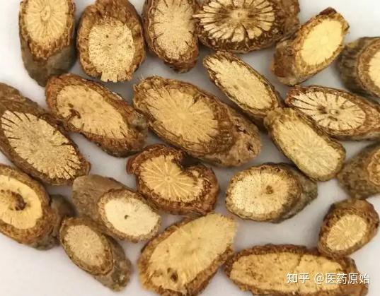 带你识别防己 - 知乎