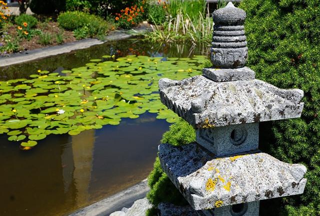 日式庭院常用植物配置大全 - 知乎