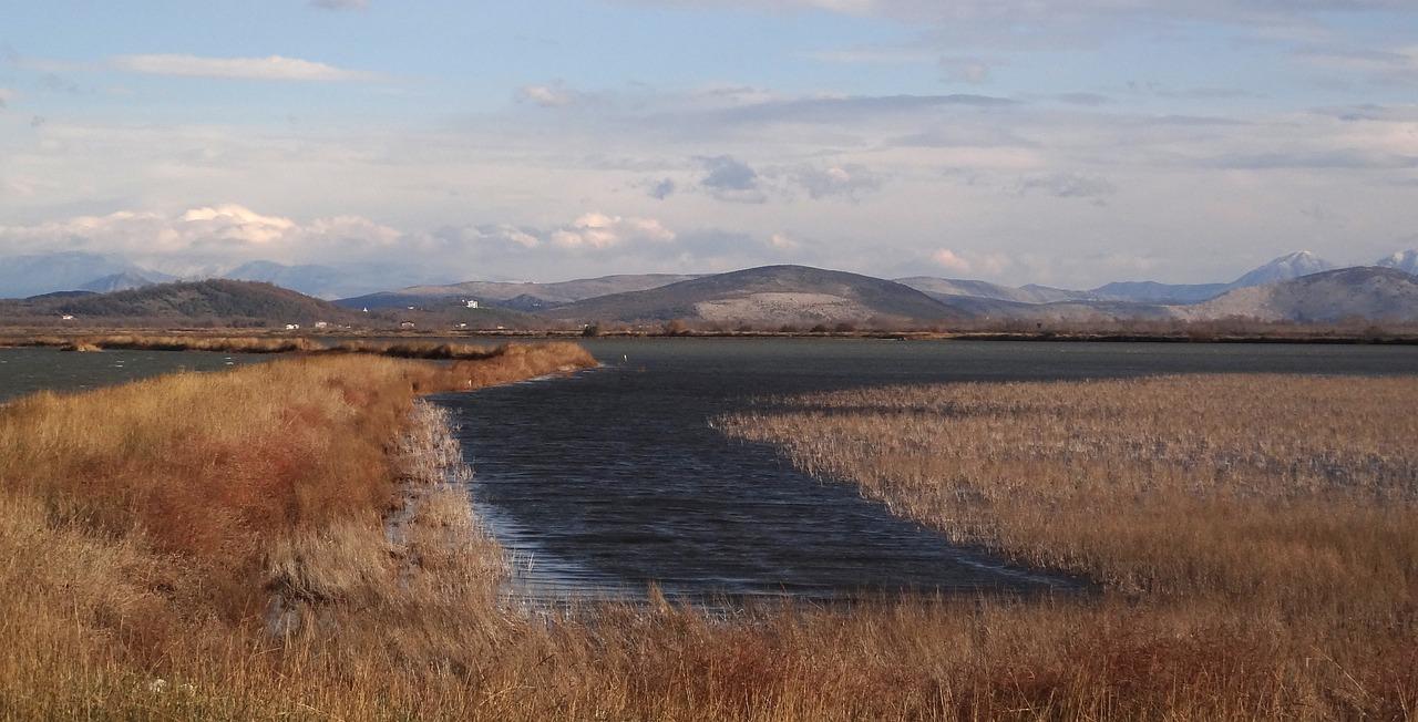 沙头角单间房源