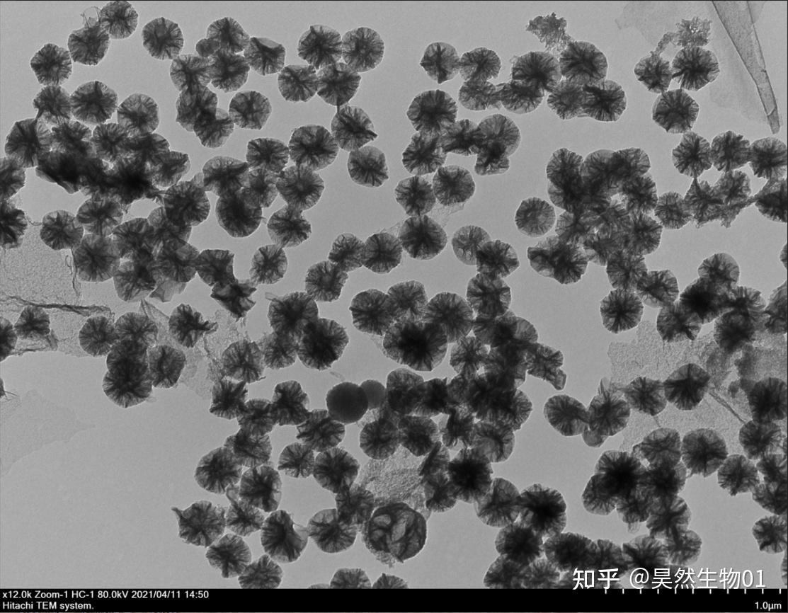 大孔介孔硅/SIO2纳米颗粒,粒径200nm,TEM图谱 - 知乎