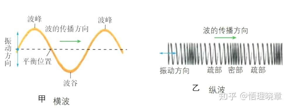 横波只能在固体中传播，电磁波的传播不需要介质，可以在真空中传播，那为什么电磁波是横波? - 知乎