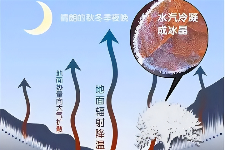 南方的冬天有一种魔法叫做-湿冷，如何破解它带来的不适感呢？ - 知乎
