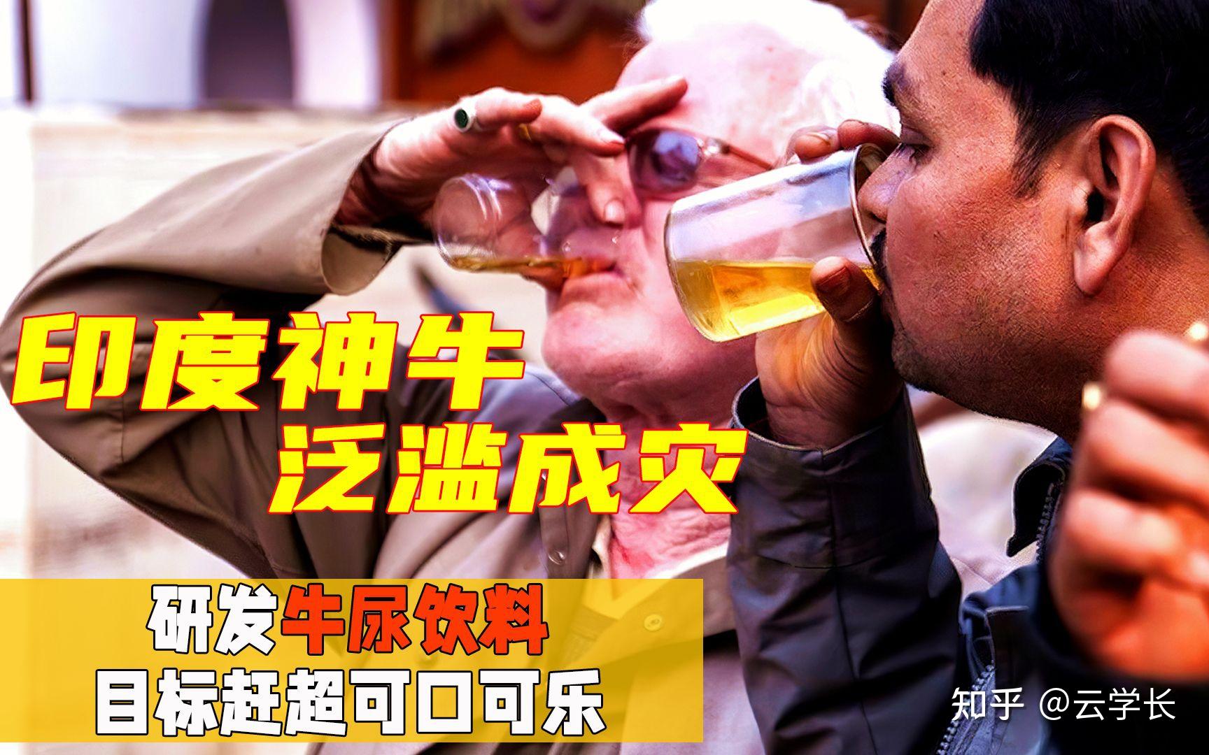 印度议员称每天喝牛尿所以没得新冠,牛尿真的可以喝吗?