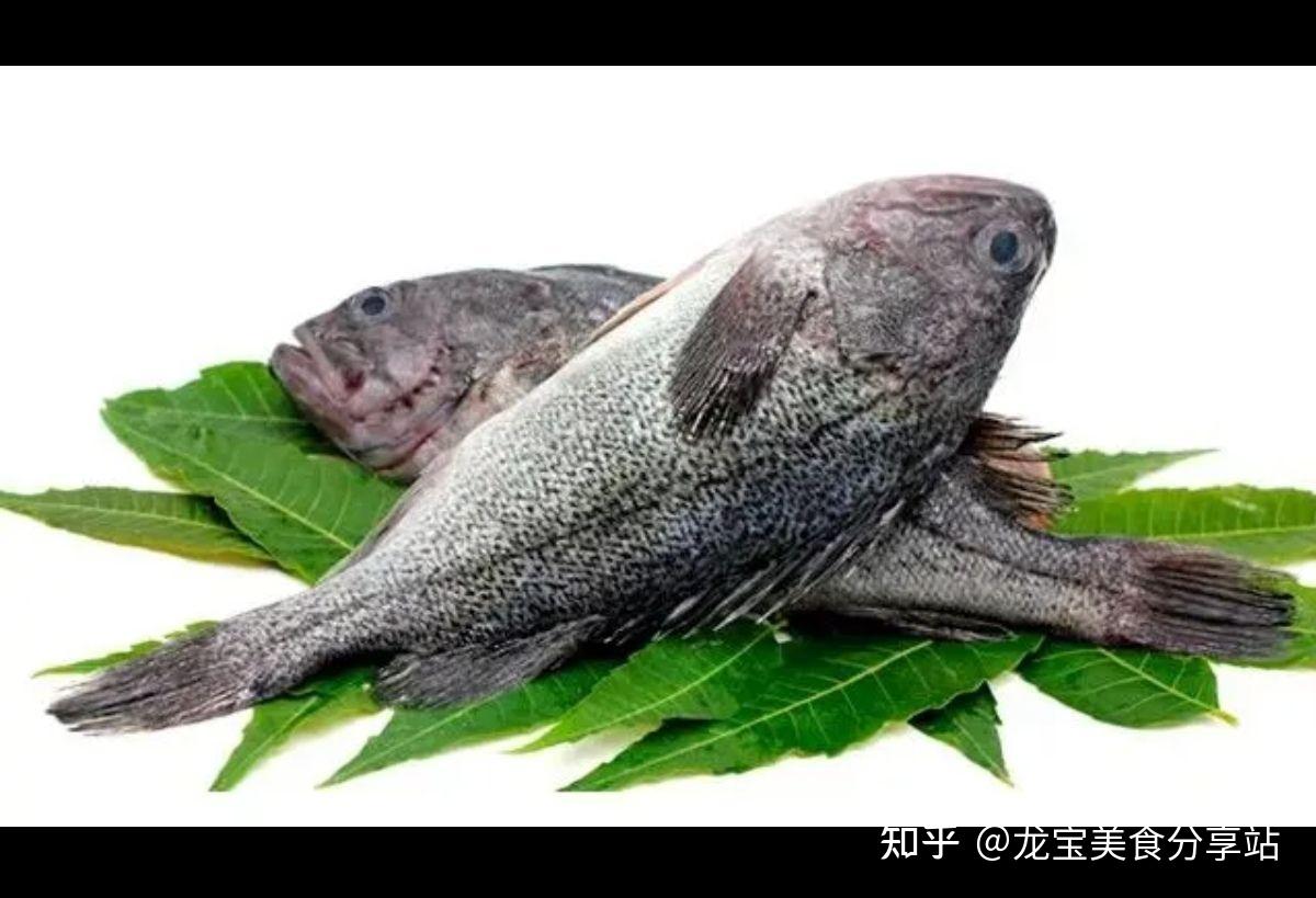 江水野生黑鱼 - 江水类 - 原味生活