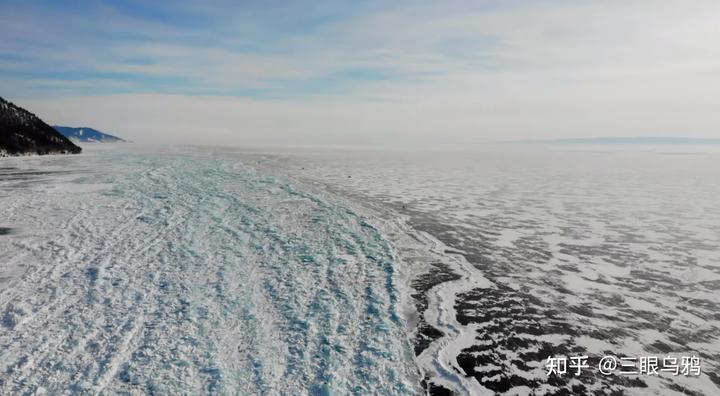 如果将 20 只狼和 500 只鹿放进同一孤岛，最后谁能活下来？