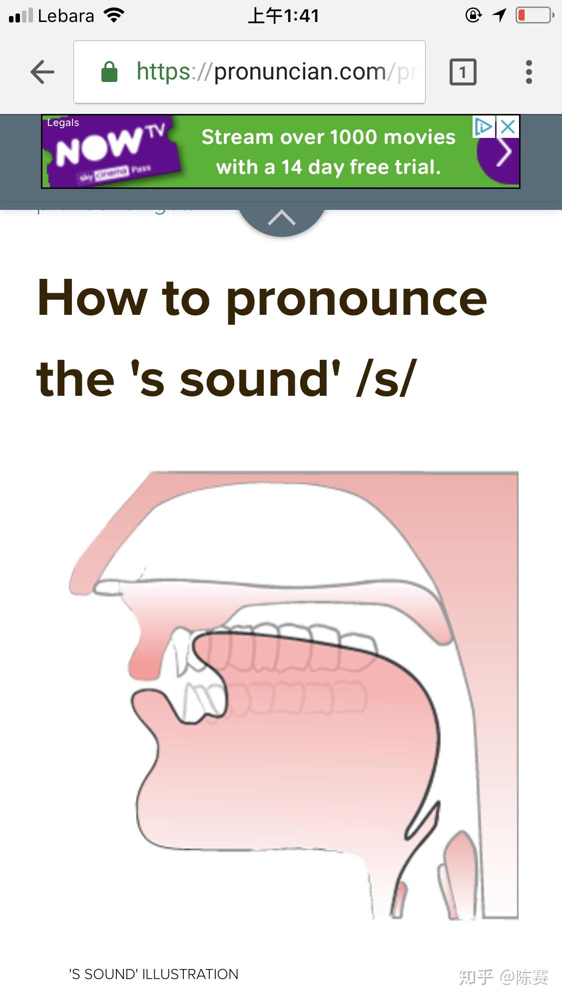 哪个才是/s/的正确发音方法? - 知乎