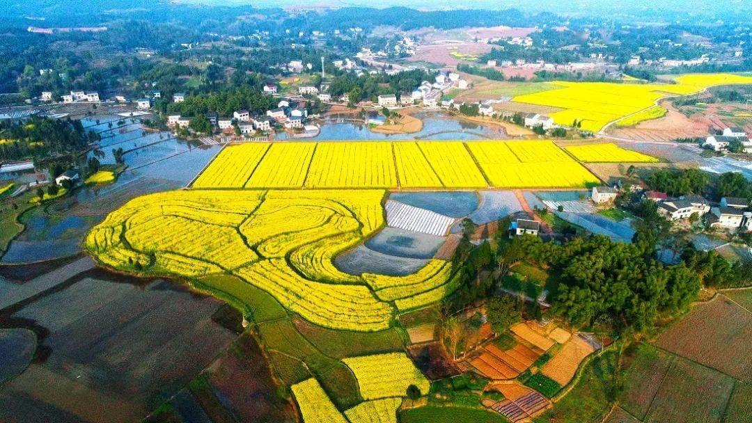 高标准农田建设是如何从中央到地方开展的? - 知乎