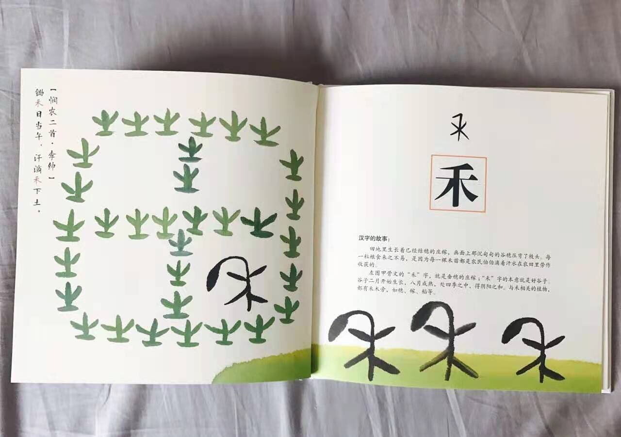 有哪些关于汉字的绘本比较好? - 知乎