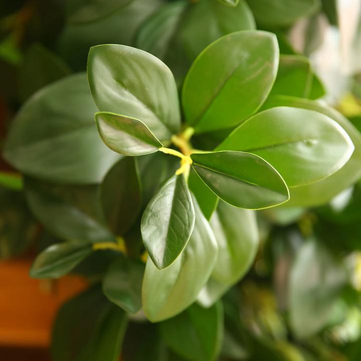 秉心克慎 奉植惟勤(关键词“勤奋”“闻一多”“钱学森”)修改稿与原稿比照 知乎