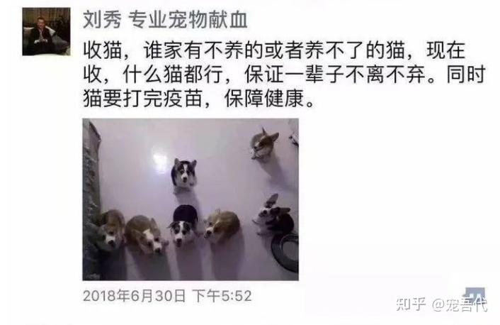 以命换命?血猫产业链究竟有多黑暗! - 知乎