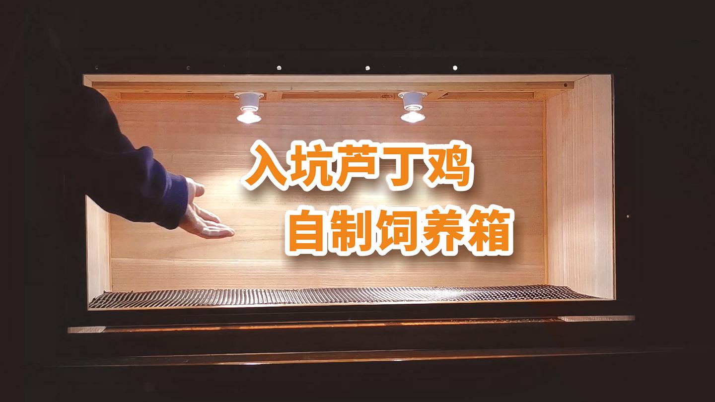 新手入坑芦丁鸡 低成本自制饲养箱 知乎