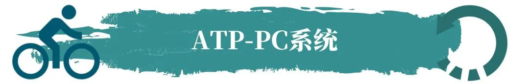 高强度运动中无氧代谢动力学:ATP-PC耗竭与乳酸代谢的分子调控机制 - 知乎
