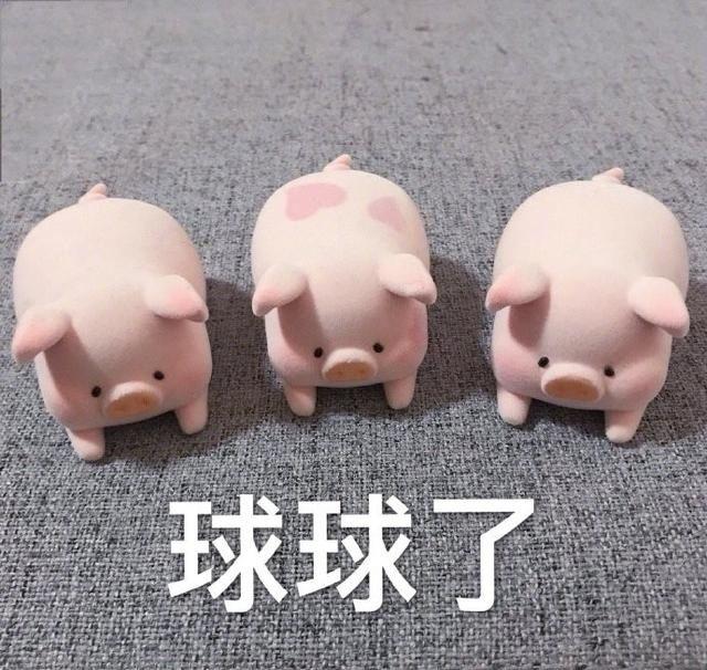大家有没有lulu猪的表情包呢