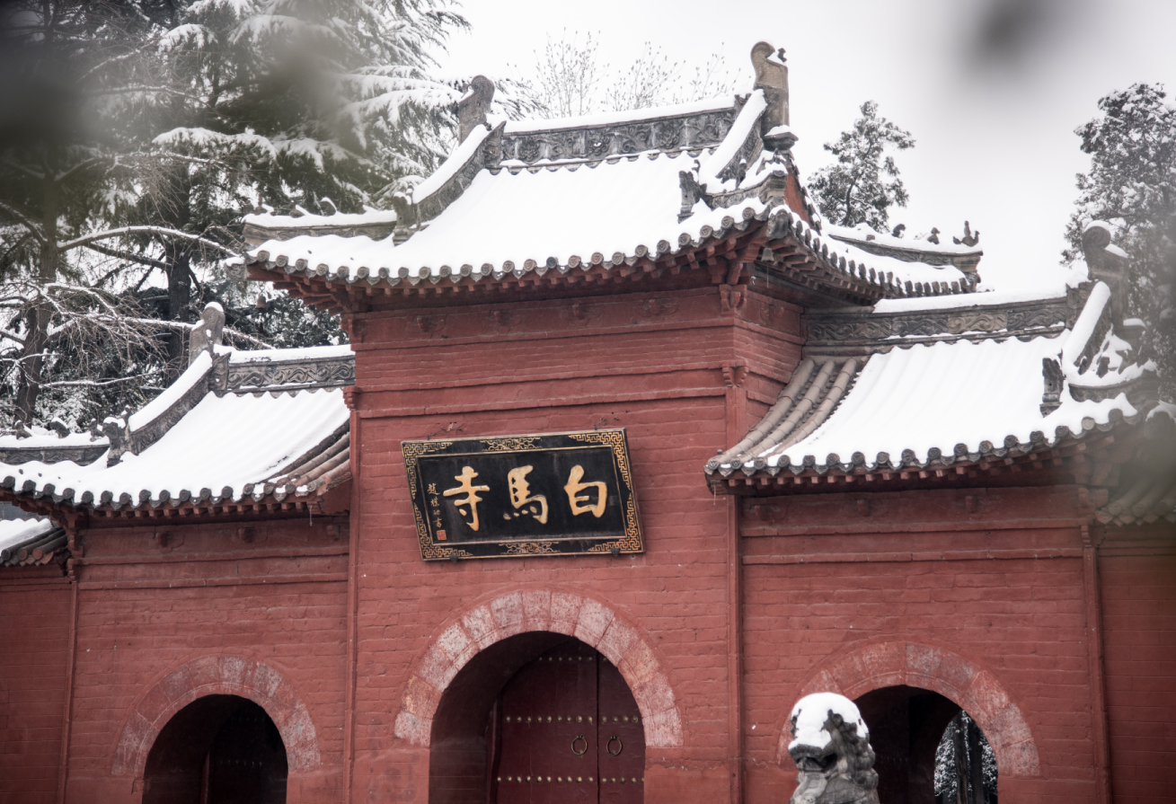 2025洛阳旅游:刚回来!花了2000块钱买来的血泪教训!!3天2晚攻略这个春节就去洛阳!! - 知乎