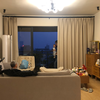 蜜汁蔡文姬翅