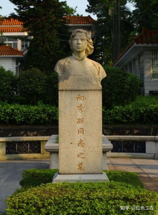 烈火中永生的向秀丽 - 知乎