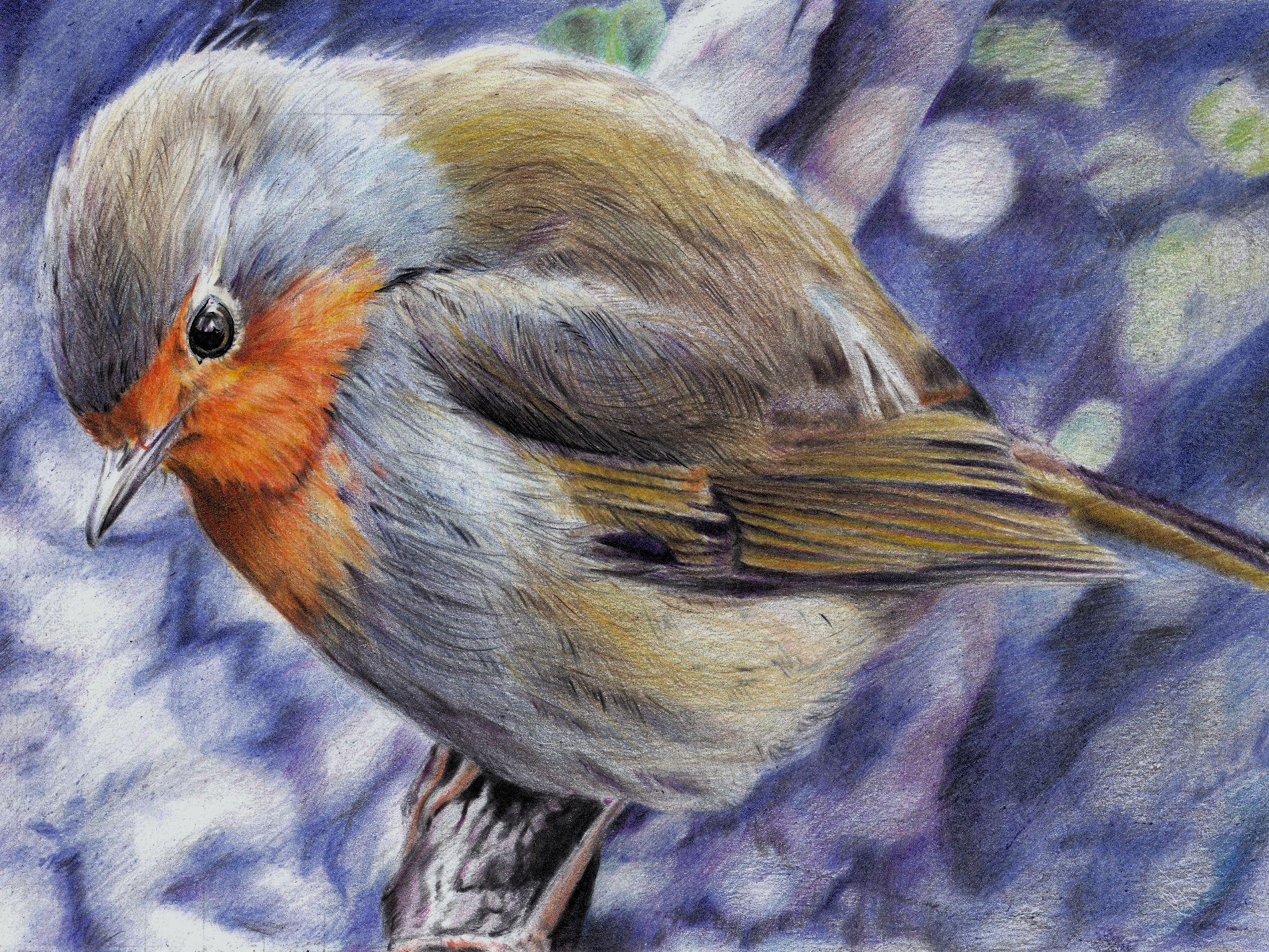 如何画出像这样高质量的彩铅作品? - 知乎