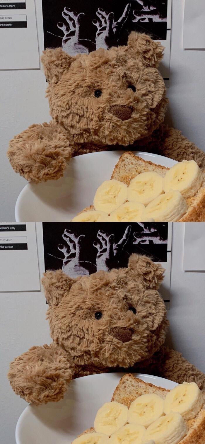 巴塞罗熊壁纸求求啦