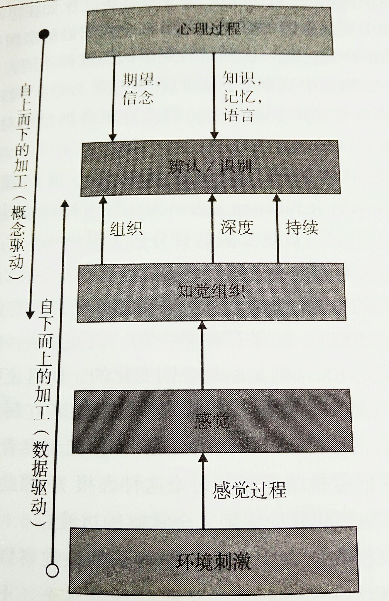 举例说明自下而上和自上而下加工之间的异同