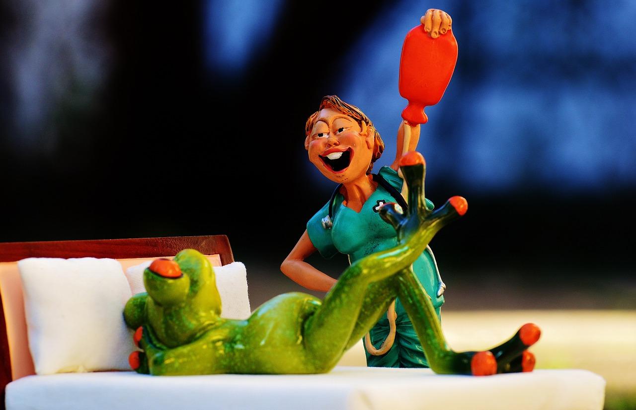 猫产房设备配置