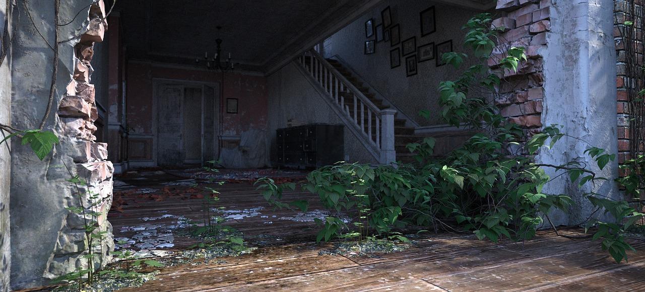 家里客厅放什么植物