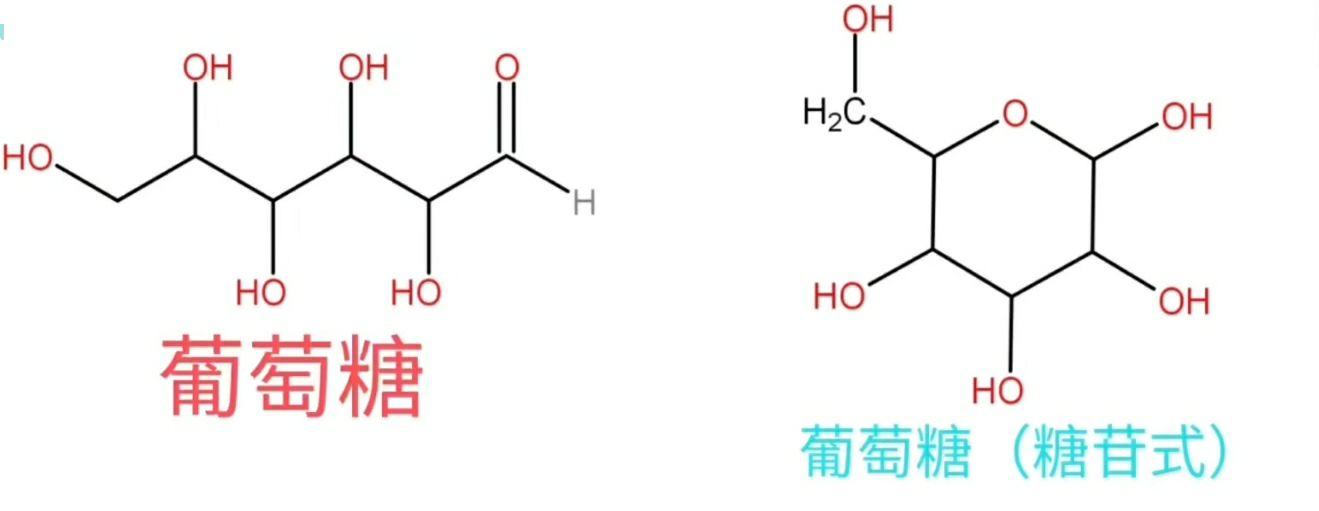 五碳糖结构图图片