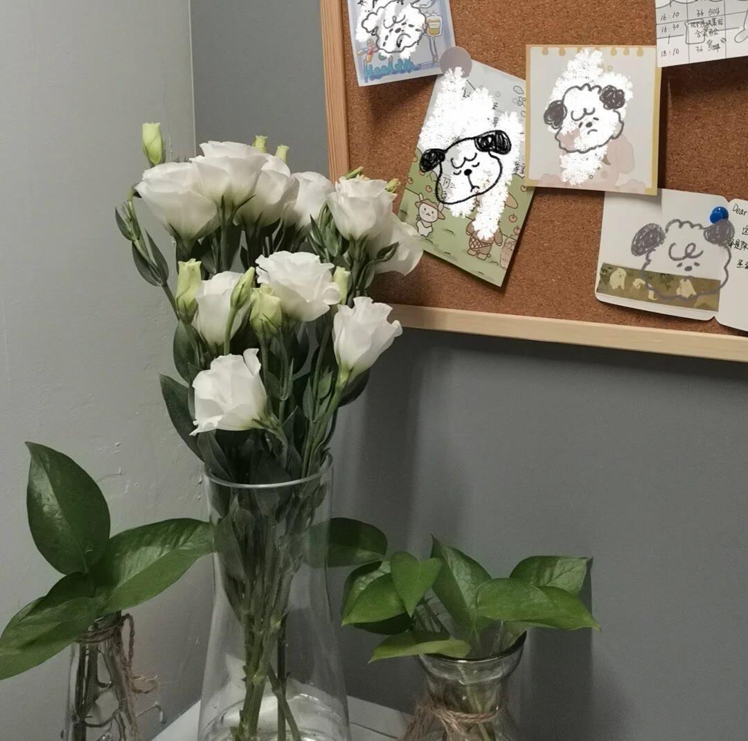 有什么配图的高级感朋友圈文案吗字数精炼不要太矫情