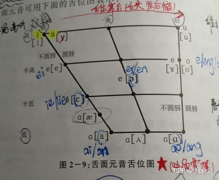 《现代汉语（上）》期末考试复习 - 知乎
