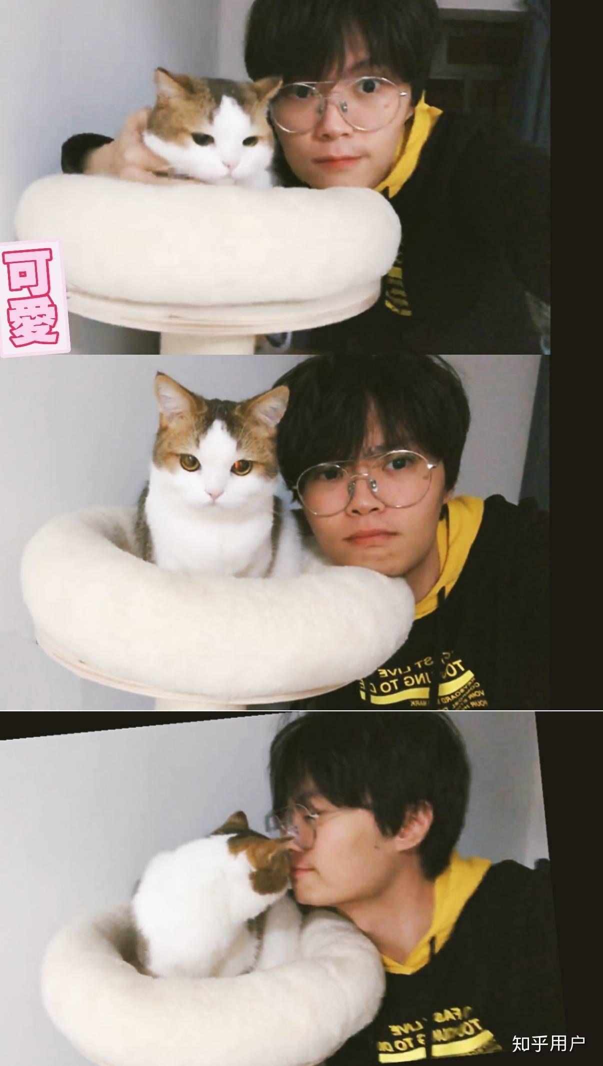 有没有kb呆又呆的照片呀?