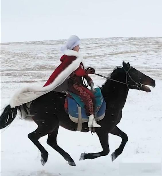 七言闻新疆昭苏县41岁女副县长贺娇龙雪地策马视频走红有感