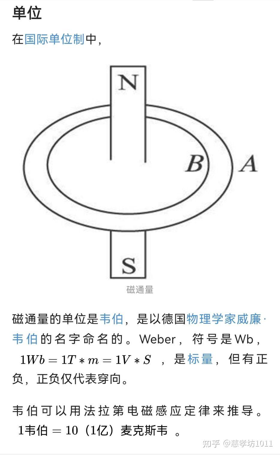 磁通量是赝标量吗? 