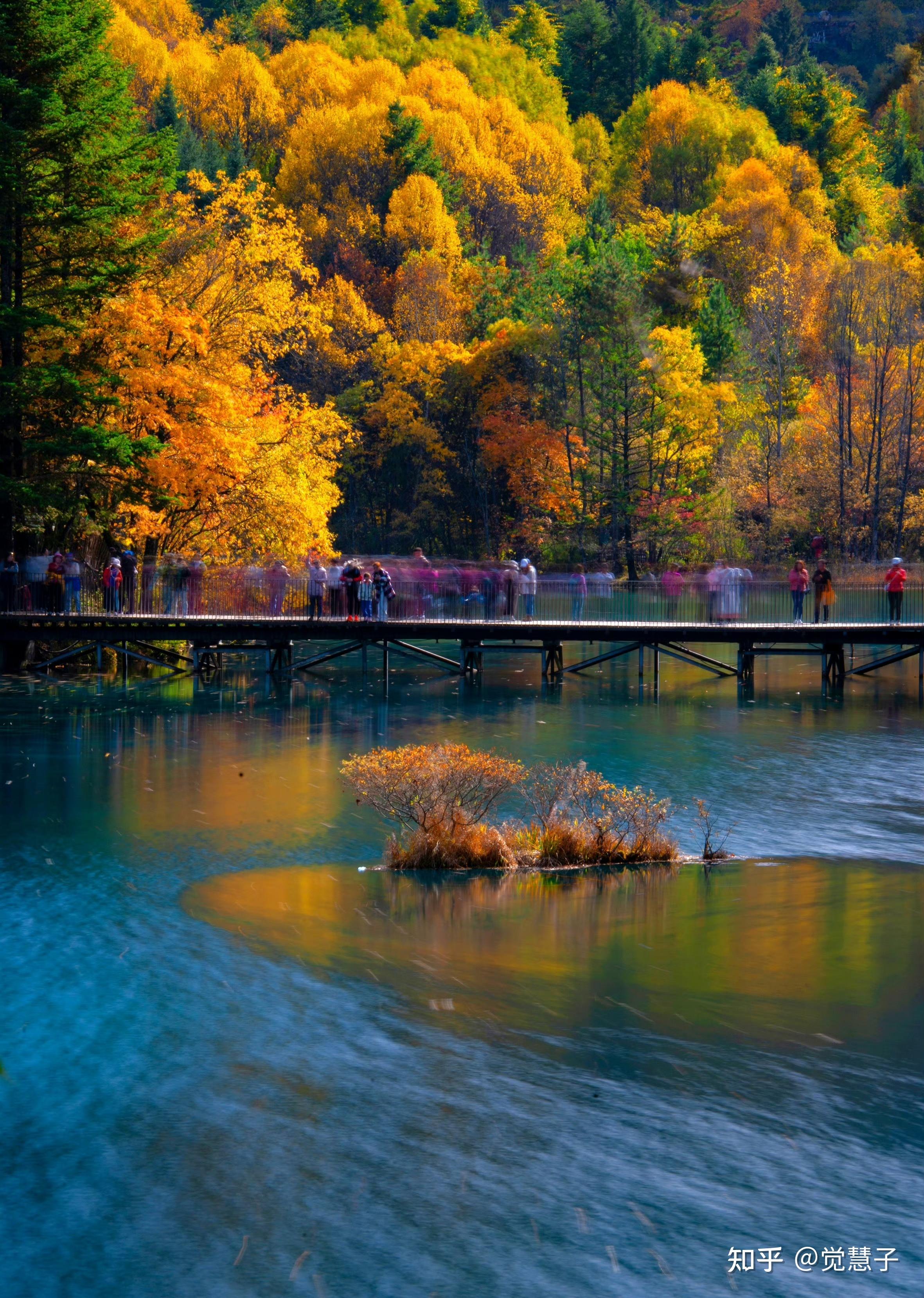国内处于某领域天花板级别的旅游景点有哪些?