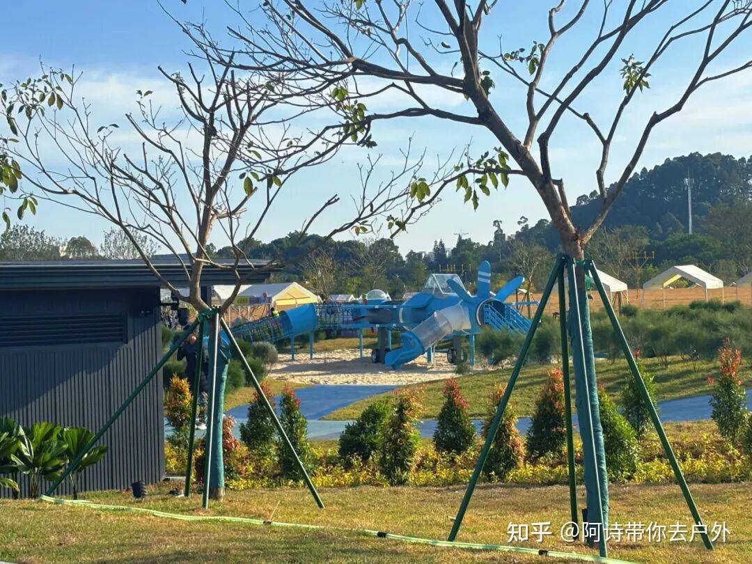 广州周末新去处!免费露营遛娃公园,大草地小浅滩乌榄园,交通便利人还少! - 知乎