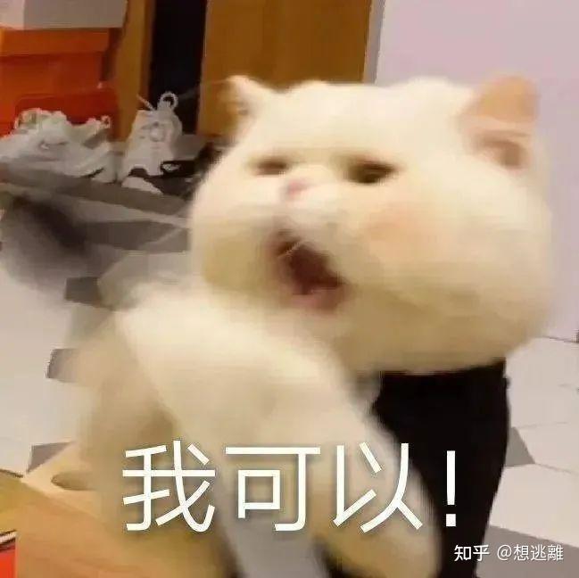 奇怪的搞笑必备表情包又增加了~ - 知乎