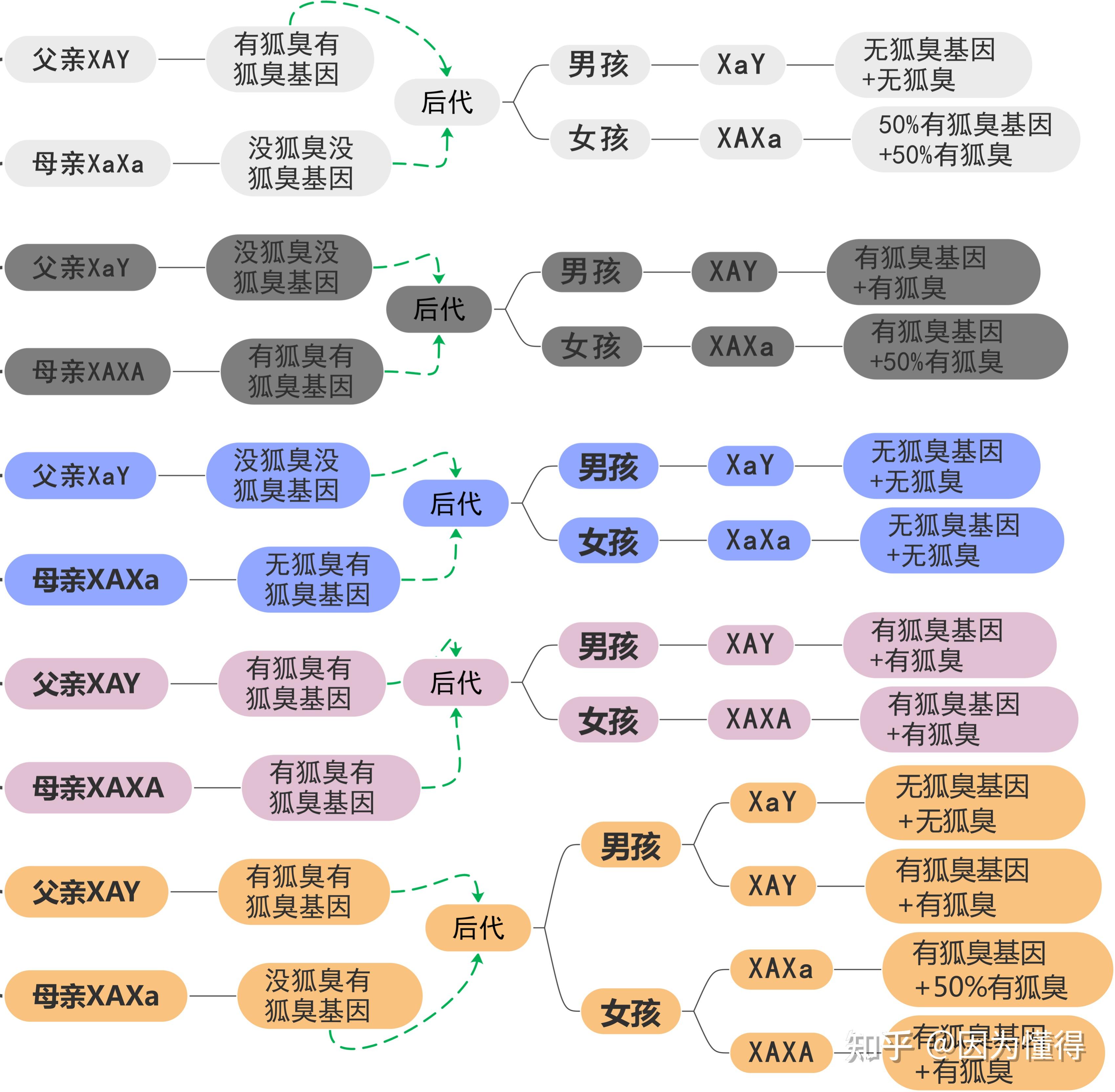 父亲患上狐臭的遗传规律是什么? - 知乎