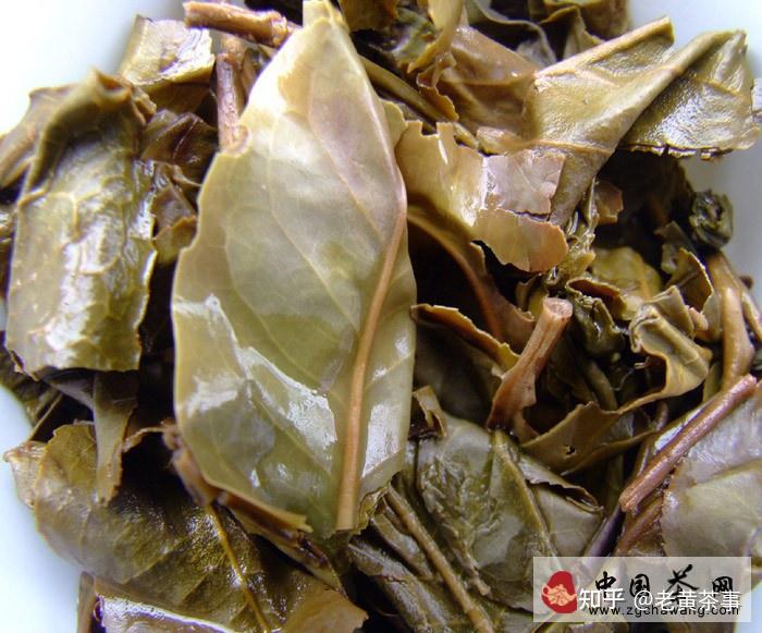 普洱茶葉子大小是評判茶葉品質的標準嗎? - 知乎