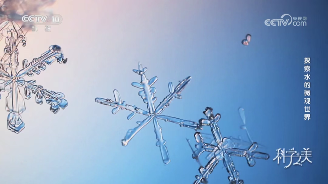 雪花从何而来:低温原位显微视角下的冰晶结构与形成机制 - 知乎